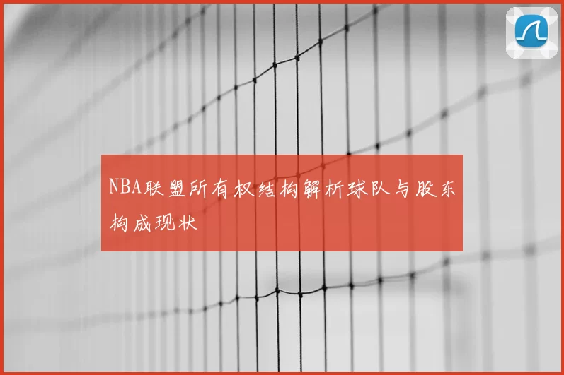 NBA联盟所有权结构解析球队与股东构成现状