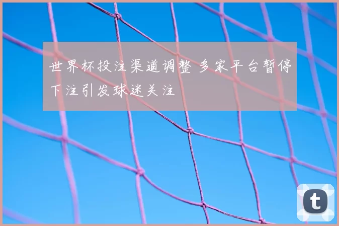 世界杯投注渠道调整 多家平台暂停下注引发球迷关注