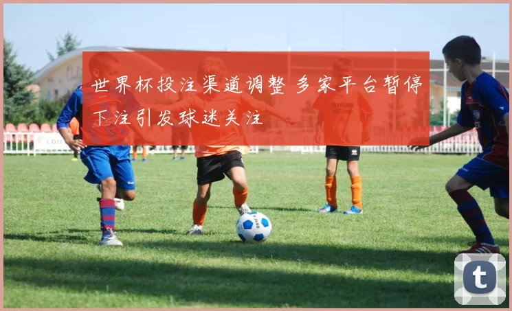 世界杯投注渠道调整 多家平台暂停下注引发球迷关注